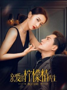 ซีรี่ย์จีน Plot Love (2021) แผนรักลวงใจ ตอนที่ 1-24 ซับไทย